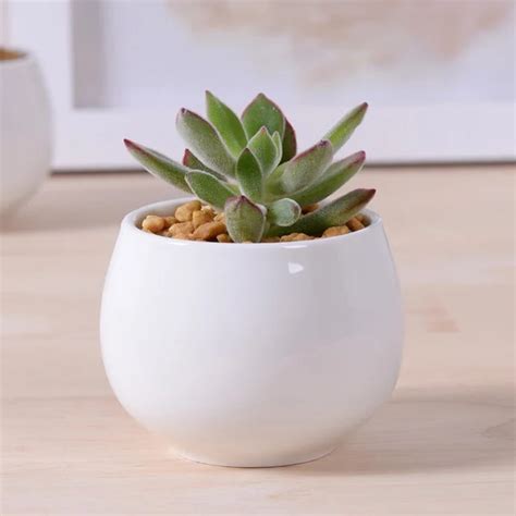 Modern Round Small Potted Bonsai Pot Gardening Succulents Planter Pot ...