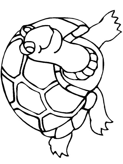 Turtles K7 Animals Coloring Pages | Coloring Page Book