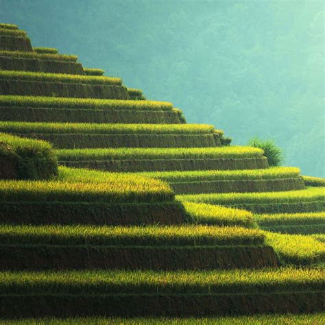 Download Rice Terraces For Lenovo Tablet Display Wallpaper | Wallpapers.com