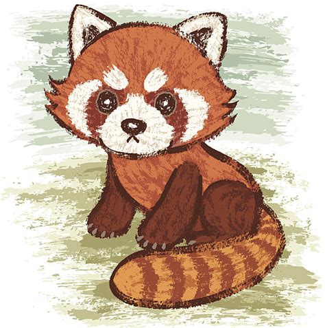 Red Panda Illustrations, Royalty-Free Vector Graphics & Clip Art - iStock