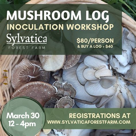 Mushroom Inoculation — Sylvaticaforestfarm