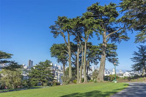 Alamo Square Park in San Francisco - Relax in Front of the Painted Ladies – Go Guides