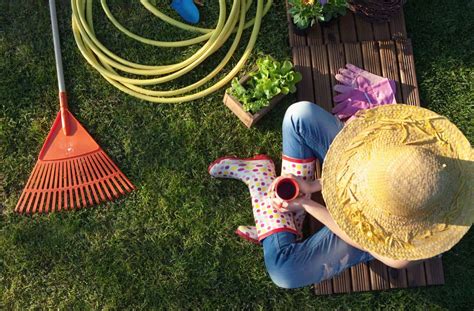 Tools for Lawn Maintenance In 2019 - BackYardAdvice