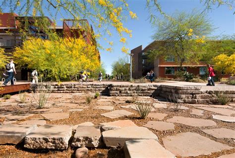 Arizona State University Polytechnic Campus | Landscape, Rainwater harvesting architecture ...