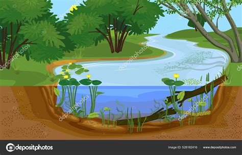 Freshwater Aquatic Ecosystem