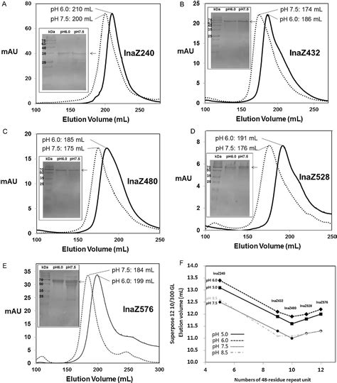 Figure 6 from Biophysical characterization of soluble Pseudomonas ...