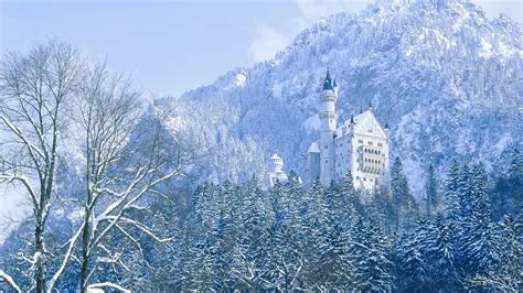 Neuschwanstein Castle in winter - backiee