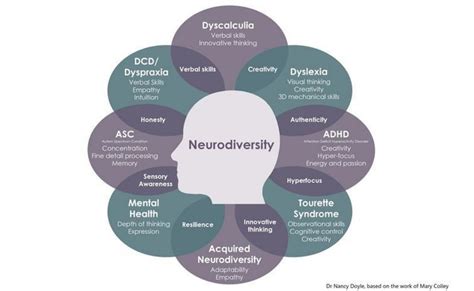 Sensory Classrooms for Neurodivergent Students: An Approach Towards Inclusion