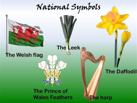 Pin by Chris Dyer on wales | Welsh symbols, Wales, Welsh flag