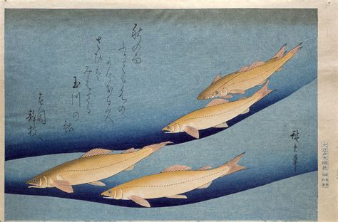 Mokuhankan Collection : Sweetfish in Tama River
