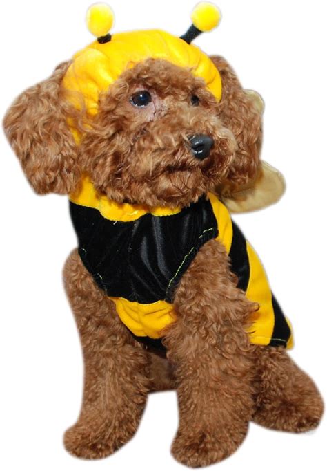 Amazon.com: Bumble Bee Dog Costume : Pet Supplies