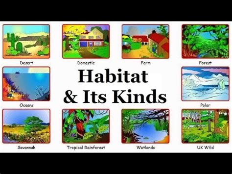 Habitat and It's kinds. |Forests, Desserts, Rainforests, Grasslands ...