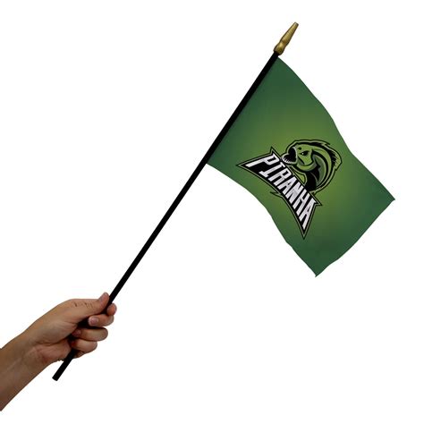 6" x 9" Stick Flags | Display Pros