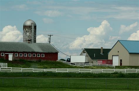 Prison Farm Photograph by Bonnie Brann