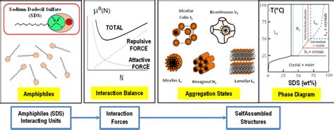 Main features of the self-assembly processes in a water solution of a... | Download Scientific ...