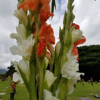 HAWAII STATE VETERANS CEMETERY - Updated January 2025 - 279 Photos & 15 Reviews - 45-349 ...