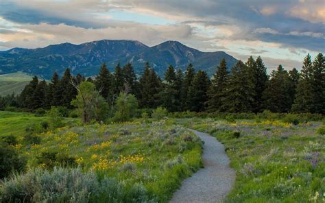 15 Best Hikes in Bozeman, Montana - Goats On The Road