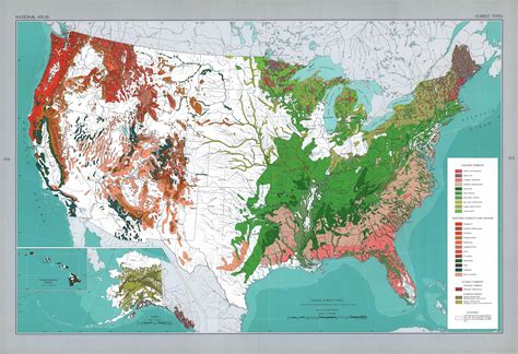 Major forest types of the United States (1967) - Vivid Maps