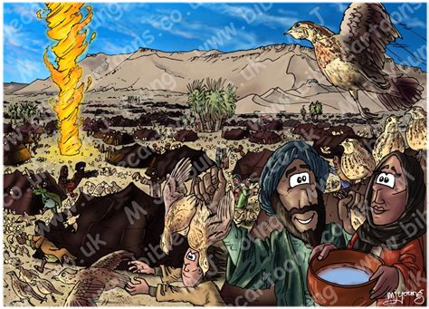 Exodus 16 - Manna and Quail - Scene 04 - Quail | Bible Cartoons