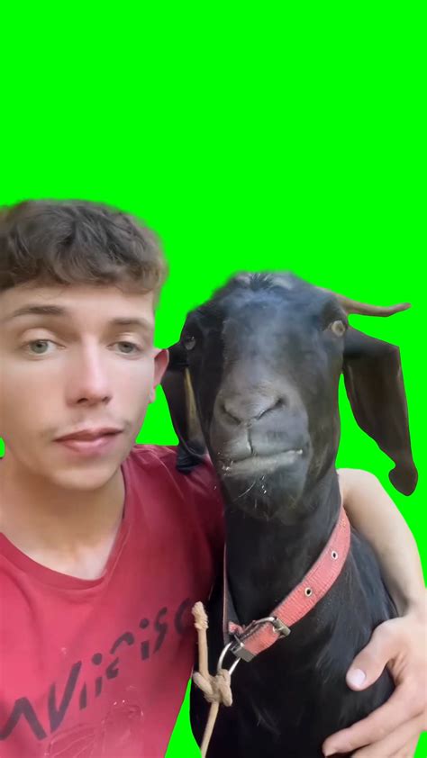 Man singing and hugging goat (Green Screen) – CreatorSet