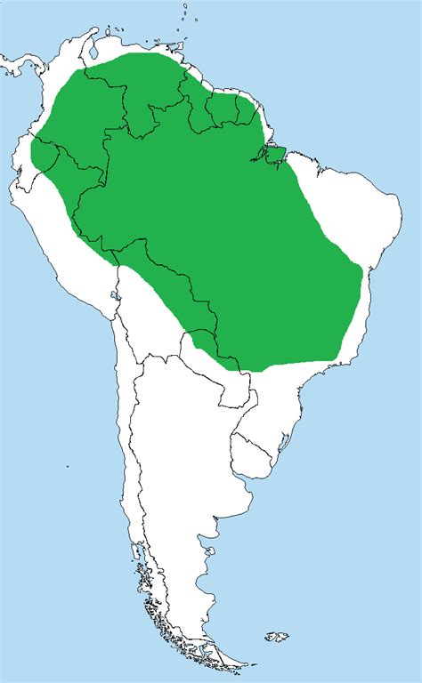 Green Anaconda: All About South America's Giant