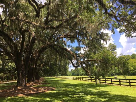 Boone Hall Plantation & Gardens - Go Wandering