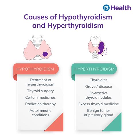 Thyroid Stimulating Hormone (TSH) Test: Understanding Range