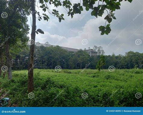 Building School in Alzaytun Campus Stock Image - Image of jungle, plant ...