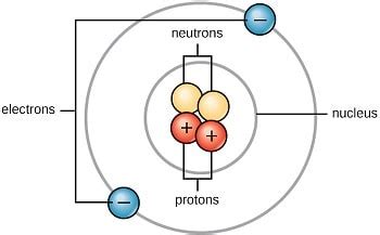 1.1. Niveles de organizacion de los seres vivos | Anatomía aplicada 1º ...