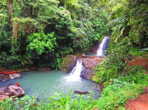 Seven Sisters Waterfall Grenada | Beautiful photos of nature, Island falls, Caribbean travel