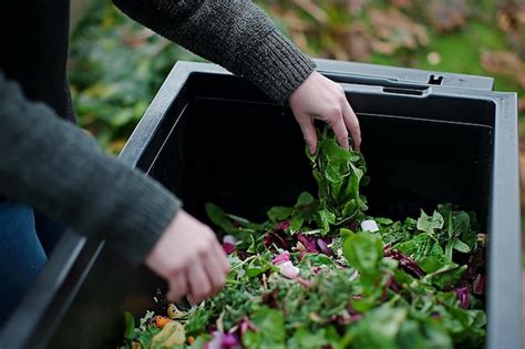 Premium Photo | CloseUp of Composting Organic Waste