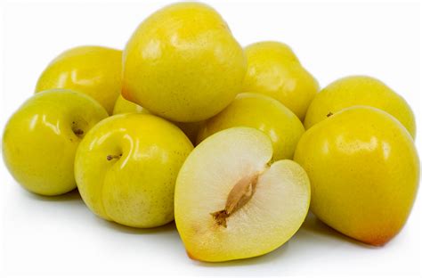 Lemon Plum Facts and Health Benefits