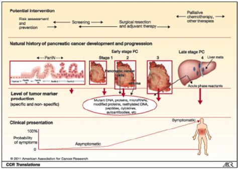 The production of tumor markers at different stages in the natural... | Download Scientific Diagram