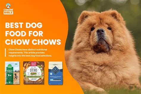 Best Dog Food For Chow Chows: Optimal Nutrition & Taste - Canine Bible