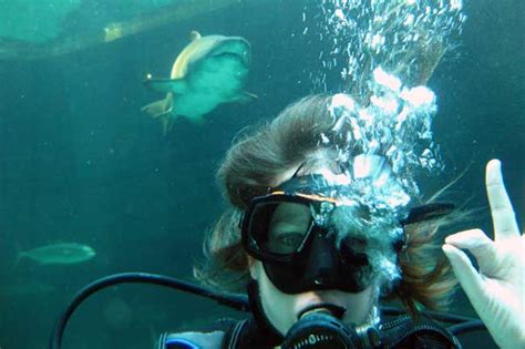 DIVE WITH SHARKS AT THE TWO OCEANS AQUARIUM | CapeTown ETC