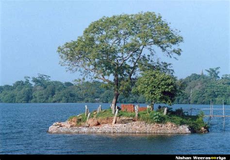 Parakrama Samudraya - The Sea of Parakrama | AmazingLanka.com