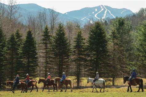 Happy Trails | Horseback riding, Happy trails, Horses