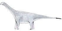 Saltasaurus - Wikipedia