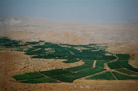 Trade with Israeli settlements: Dutch ministry ignores internal ...