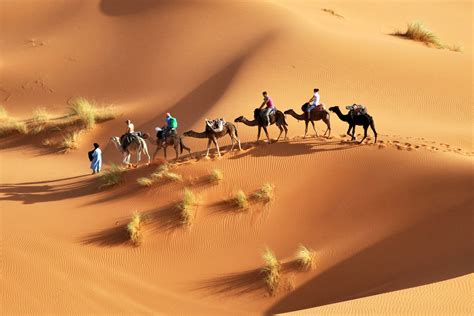 Sahara Desert Tour with Camel Ride from Djerba - Tacapes Tours