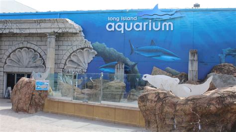 Hotels Near Long Island Aquarium | Hyatt Place Long Island