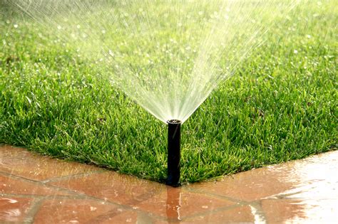 Lawn Watering Tips Every Home Owner Should Know | Sod installation, Water irrigation, Irrigation