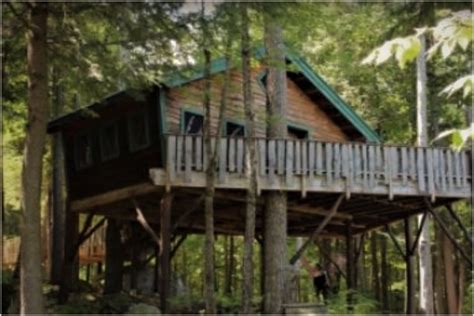 Pine Tree Camp Cancels Summer Programs, Offers Adventure Pass