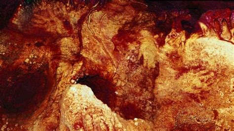 Neanderthals were capable of making art | Cave paintings, European art, Neanderthal