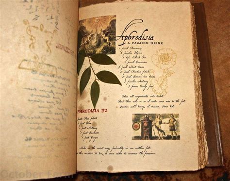 Octoberfarm: The Original Practical Magic Spellbook in 2022 | Magic spell book, Practical magic ...