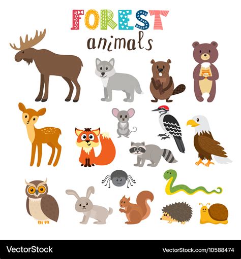 Set of cute forest animals in woodland cartoon Vector Image