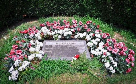 RIP Ruffian | Ruffian, Racehorse, Horse love