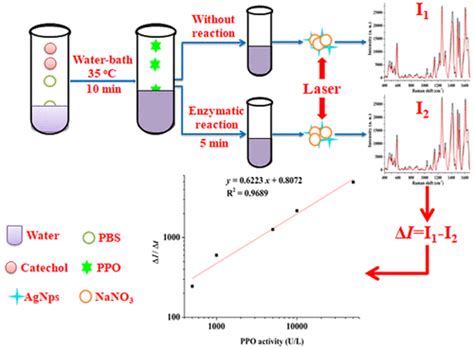 New Method for Accurate Determination of Polyphenol Oxidase Activity Based on Reduction in SERS ...