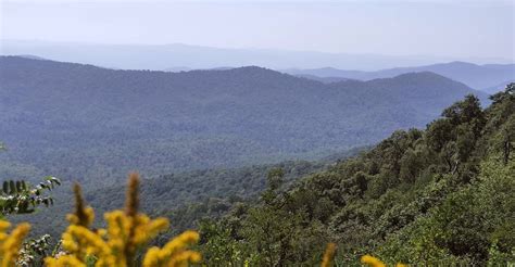 DWNC | United States | The Episcopal Diocese of Western North Carolina