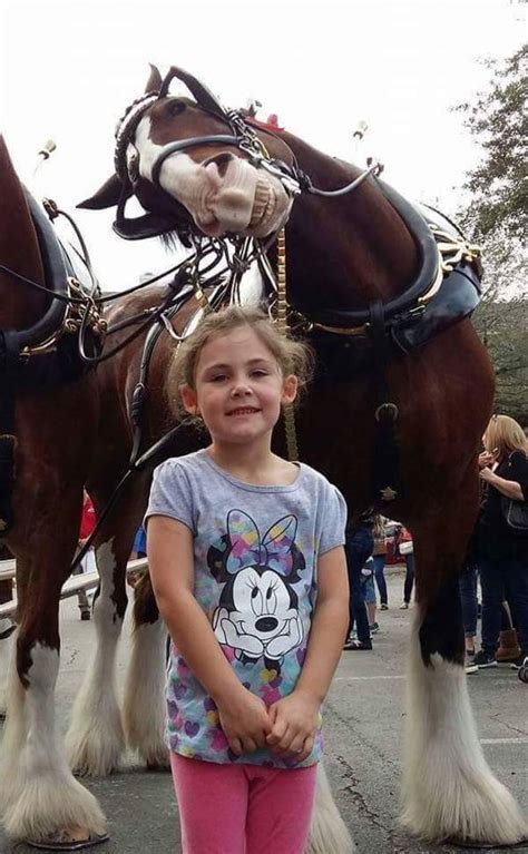 Padre le pide a hija que pose frente los caballos – mira la foto de cerca y se ríe a carcajadas